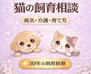 女性限定｜猫の病気や飼育の悩みお聞きします 出産から介護まで経験者だから安心して何でも話せます イメージ1