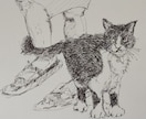 愛するペットを温かみのある手描きイラストで描きます 大切な家族の思い出を世界に一つだけの作品に イメージ3