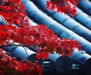 写真編集します インスタに投稿したくなっちゃう写真にします！ イメージ5