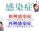 保健体育科の保健の授業、体育のプリント私が作ります あなたの授業の板書、プリント作成時間、無くします！ イメージ1