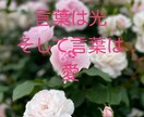 あなたのハッピーをお聴きします あなたの大切な声で、心の嬉しい！を伝えてください。 イメージ8