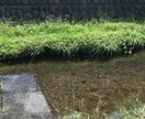 文字１ヶ月＆ビデオ30分 ×3回  美活応援します エイジングへの抵抗⭐️美肌に⭐️ 一緒に並走します♪ イメージ9