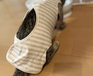 猫のエリザベスウェア、猫の術後服お作り致します 猫にとって避けて通れない避妊手術。伸びない生地で快適に♪ イメージ2