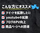 １ヶ月プラン、毎日固定ツイを拡散します 総フォロワー17000。毎日あなたの固ツイを拡散します！ イメージ3