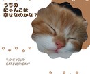 あなたの大事なにゃんこの気持ちを占います 猫の気持ちを知りたいあなたのための「にゃんこ鑑定」 イメージ2