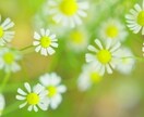 現役ママが様々なお悩み愚痴何でもお話お聞きします ＊身近な人には話せない！そんな時こそお話聞かせて下さいね✳︎ イメージ2