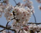 あなたの愚痴いつでも言って下さい待ってます 友人にも言えない事ありますよね？私に話しかけて下さい。 イメージ5