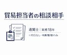 ひとり貿易担当者の不安を支援(通関士対応)します 中小企業で貿易を一人で担当されている方向けの相談サービスです イメージ1