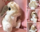 ペットのぬいぐるみ作ります 大切なペットのぬいぐるみをお作りします！ イメージ6