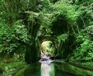 八百万の神や龍神様や言霊であなたの人生を照らします 必ず4種類のオラクルカードで占います。詳しくは本文にて イメージ2