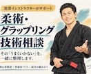 柔術インストラクターが柔術技術向上相談します ブラジリアン柔術(黒帯)、白帯～青帯に柔術向上相談します。 イメージ1