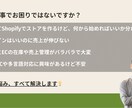小規模Shopifyストア構築させていただきます ご予算10万円〜！ECサイト構築のプロにお任せください！ イメージ2