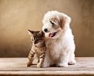 様々なお悩みに寄り添います 【現役ナースがお悩み聴きます今日もゆるく生きましょう☘️】 イメージ2