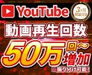 YouTube再生回数50万回〜増やします 【3ヶ月保証】大規模再生向け・高品質サービス イメージ1