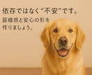 犬の飼育の悩みを 分からない所から一緒に整理します 初めての飼育で不安がある方へ 何から始めるか一緒に考えます イメージ4
