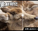AIで写真プロのクオリティに鮮明化します 「その写真、諦めないで。AIが最高の1枚に変えます。 イメージ1