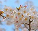 雑談からお悩みまで、お話ききます ○心理学部卒でOL、結婚、出産を経た主婦がお話ききます。 イメージ2