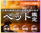 ペット霊視鑑定 虹の橋の大事な家族を霊視で視ます あの子が伝えたい言葉、伝えられなかった思いを私が代筆します。 イメージ1