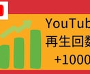 YouTube再生回数を1,000再生増やします ロボットを使用しません　アクティブユーザー イメージ1