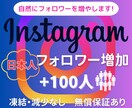 インスタの日本人フォロワーを100人増やします ◇高品質◇減少補償◇日本人フォロワー+10名サービス中！ イメージ1