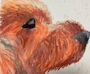 うちの子だけの温かいペット肖像画を描きます 写真から世界に一枚だけの優しいペットアートを制作します イメージ3