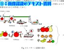 著作権フリーのイラストを描きます 学習教材の挿絵にも使える！最短1日で完成！ イメージ2
