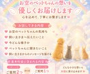 お空のペットちゃんと心を繋ぎ想いを届けます ＊後悔＊伝えたかった想い＊今の気持ちを知りたい方へ イメージ3