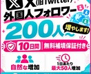 補償付き！Xの外国人フォロワー200人〜増やします 安すぎないのが安心の証拠！10日間の無料補償付きです イメージ6
