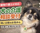 犬の介護・ケア・飼い主様の悩みも丁寧にお聞きします 動物介護士、動物介護ホーム責任者の資格者が対応します イメージ1