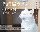 先着5名様限定/1件1500円で画像を制作ます 修正回数無制限で、精一杯誠実に、丁寧に画像を制作いたします！ イメージ4