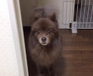 ココナラ内メッセージにて2日間、恋愛相談のります みんな悩みは違います。老若男女様々な年代の方お話してください イメージ2
