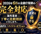 6月の金融庁規制に完全対応いたします 海外業者を丁寧に比較・相談いたします。 イメージ1