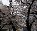 女性が聞にくい男性に聞きたいこと相談にのります♪恋愛のお悩みetc イメージ1