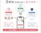 SNS3媒体からLPへ誘導 運用代行します SNS3媒体でLP誘導+簡易改善 月30,000円 イメージ2