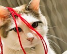シンママの為のキャリアや不安に寄り添います リスタートした同じシンママの力になりたいと思っています！ イメージ4
