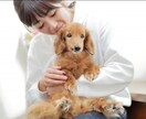 お話してホッとしませんか？固まったココロほぐします 1分でも♡どんなお話しでも親身になって聴きます♡♡♡ イメージ5
