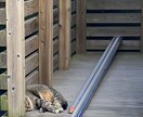 なんでも話して下さい。あなたのお話お聞きします 日常生活の些細なことから愚痴までなんでもお話下さい。 イメージ1