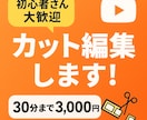 カット専門　動画の不要部分をスッキリ削除します 大切な動画をテンポよく、見やすく整えます✂️ イメージ1
