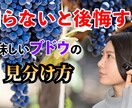 YouTube用の動画編集します 丸投げでOK！カット・テロップからBGMにサムネまで！ イメージ2