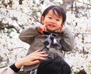 やさしい光と空気感の出張撮影します 自然な笑顔と空気感を、まるごと一枚に。 イメージ3