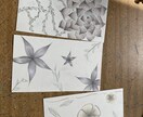 皆様の綺麗を描きます 自分自身の名前を飾ってみては！？ イメージ3