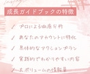 あなた専用【インスタ成長ガイドブック】作ります プロの分析で、あなたのアカウントを次のレベルへ イメージ2
