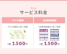 現役ブロガー＆デザイナーがブログ/X図解を作ります ブログの成約率アップ＆Xでの集客・認知度アップに効果的！ イメージ3