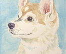 ふんわりかわいいペットの似顔絵描きます ★やわらかな色合いの水彩色鉛筆画 イメージ6