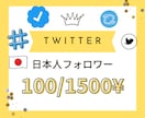 Twitterの日本人フォロワーを増加させます ㊗️実績が無い為キャンペーン価格となります！（100名様まで イメージ1