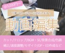 最短2日！丁寧スピーディーに動画編集します 様々なジャンル対応可！お気軽にご相談下さい！ イメージ1