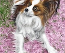ペットの似顔を雰囲気ある小物や背景入れて描きます お家のペットイラストでインテリア、グッズ作りを楽しめます。 イメージ4