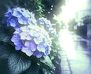 いつもの写真を、アート風に仕上げます お好きなテイストを選ぶだけ。写真の雰囲気を手軽に変えます！ イメージ6