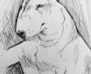 うちの子イラスト描きます 実績を積むためにお安くなっております イメージ3