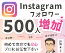 Instagramのフォロワー500人増やします 【30日間の減少保証付！】世界中に宣伝してフォロワー増加 イメージ1